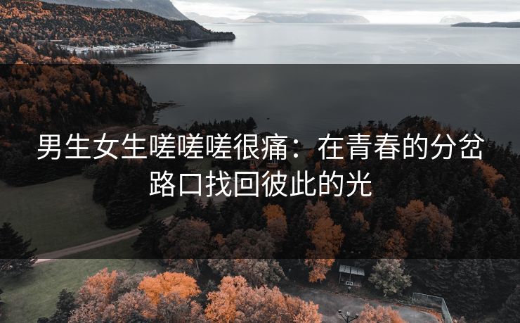 男生女生嗟嗟嗟很痛：在青春的分岔路口找回彼此的光