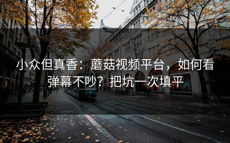 小众但真香：蘑菇视频平台，如何看弹幕不吵？把坑一次填平
