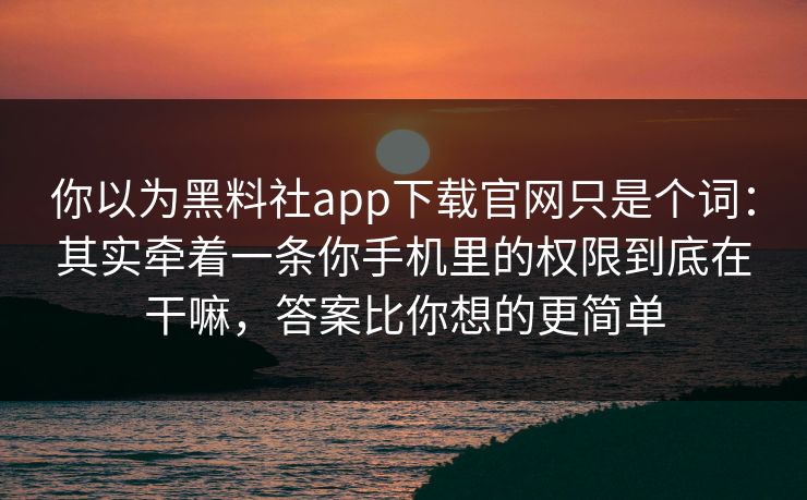 你以为黑料社app下载官网只是个词：其实牵着一条你手机里的权限到底在干嘛，答案比你想的更简单
